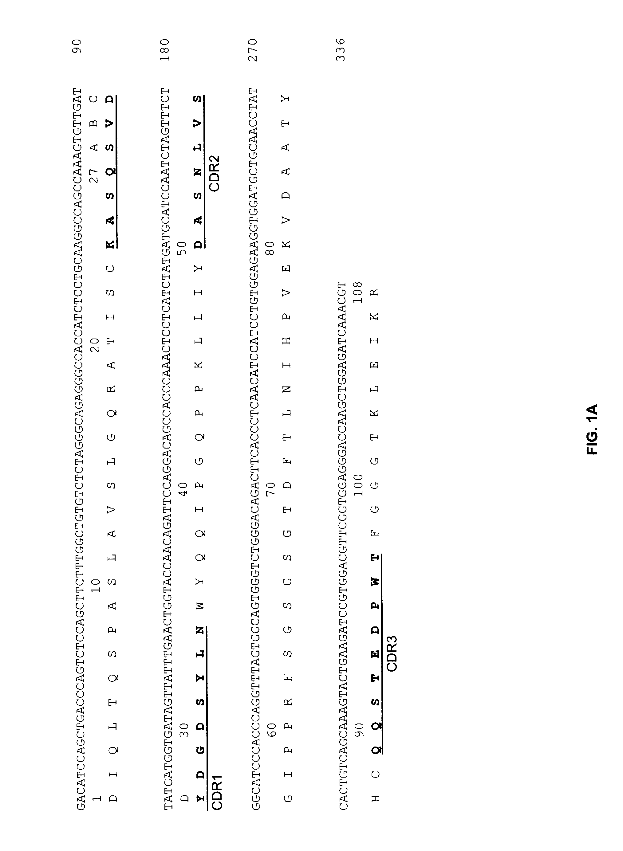 Anti-CD19 Antibodies