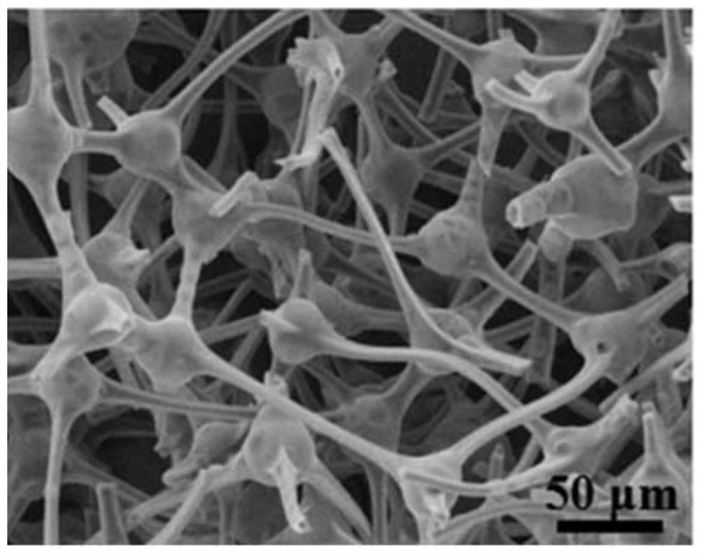 Composite negative electrode material, negative electrode, lithium ion battery and preparation method