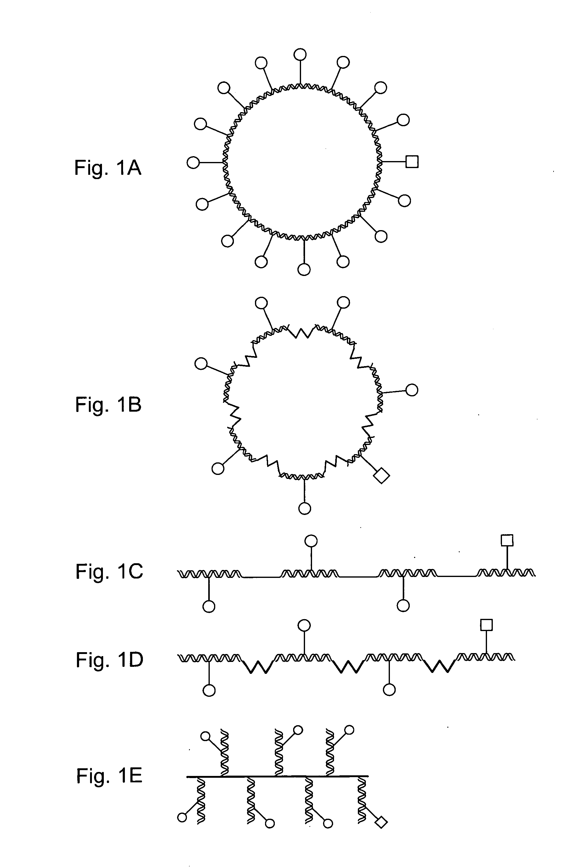 Alternate labeling strategies for single molecule sequencing