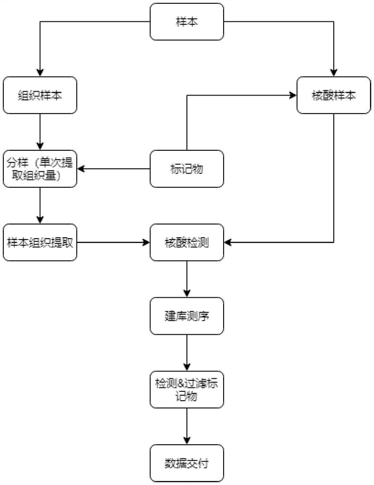 Human sequencing sample tracking marker, and monitoring method and monitoring device for cross contamination of human sequencing sample