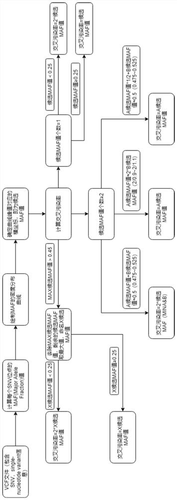 Human sequencing sample tracking marker, and monitoring method and monitoring device for cross contamination of human sequencing sample