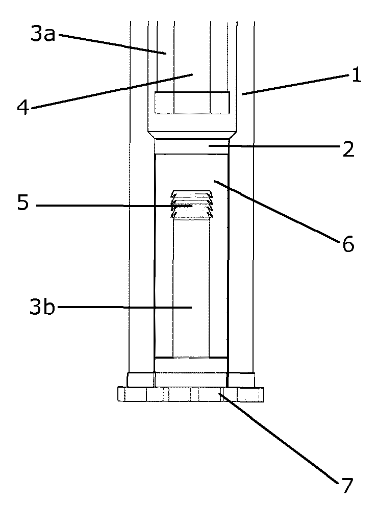 Syringe with a hollow plunger