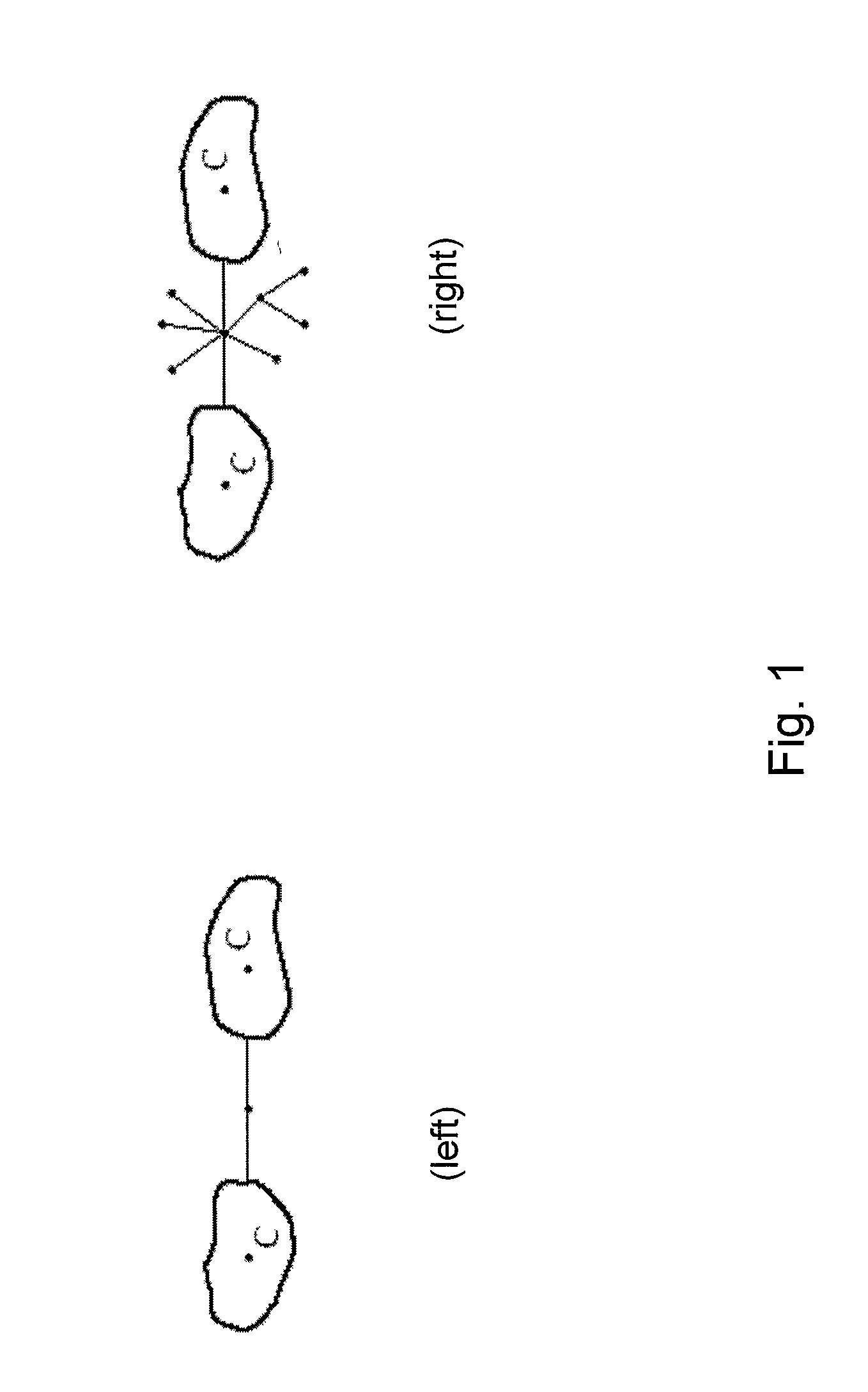 Method for managing networks by analyzing connectivity