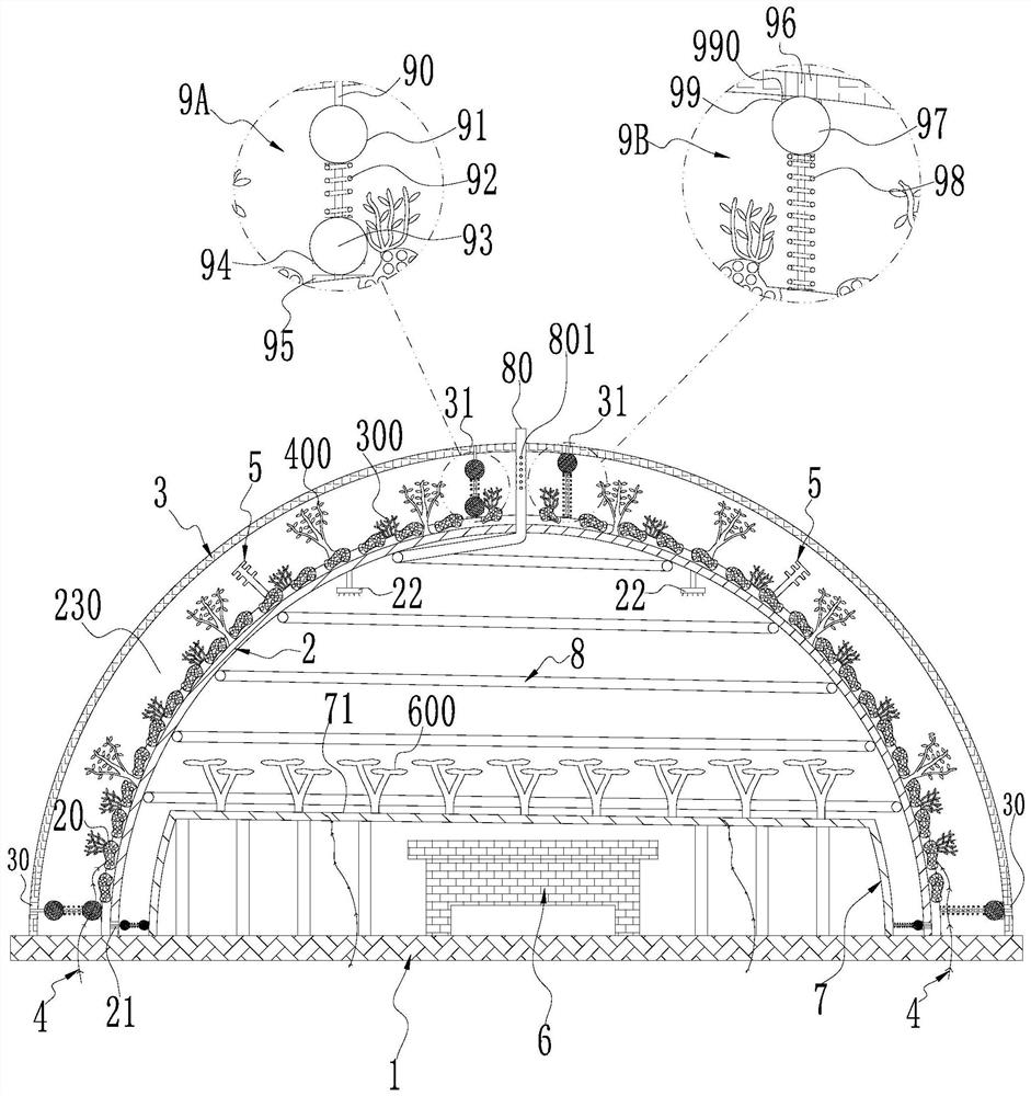 Device and method for planting dendrobium on water