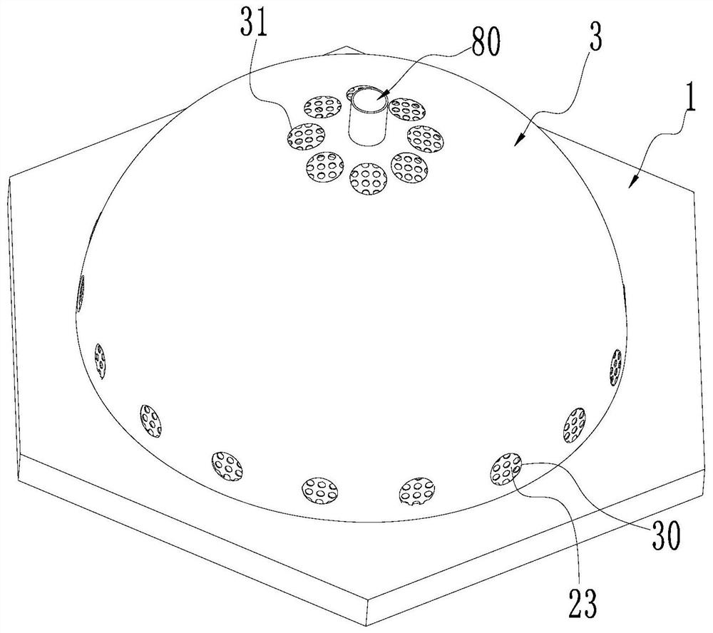 Device and method for planting dendrobium on water