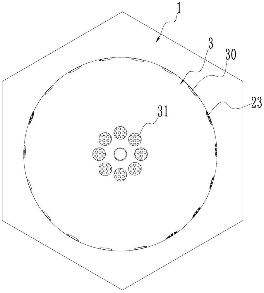 Device and method for planting dendrobium on water