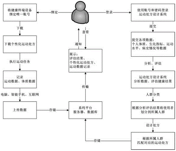 Personalized exercise prescription design method and system