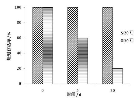 Method for cultivating earthworms for experiment