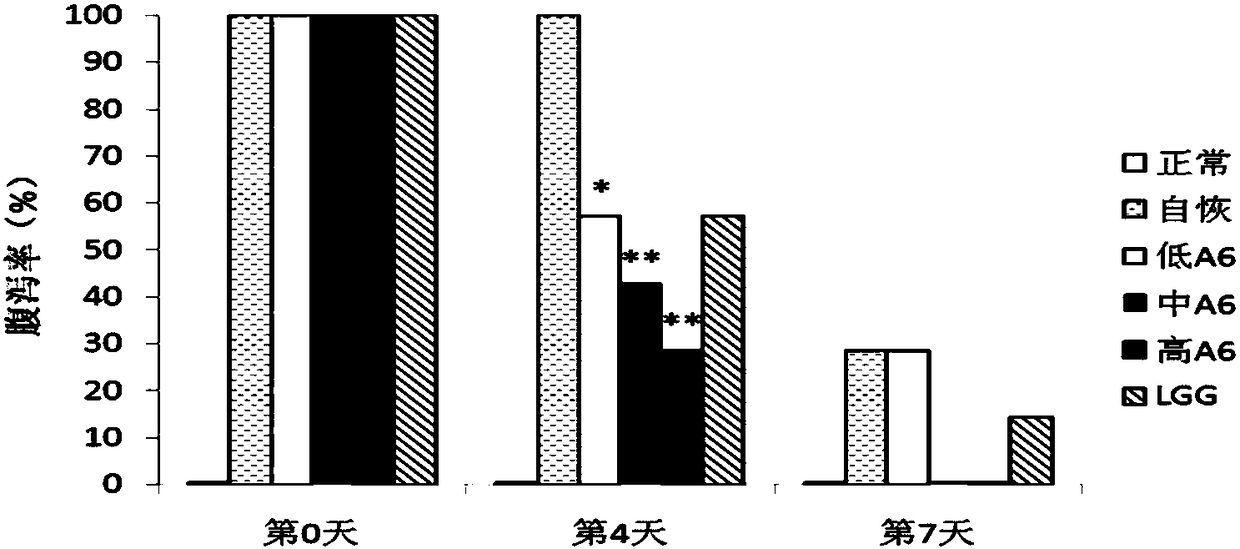 Use of Bifidobacterium animalis A6 in the preparation of medicaments