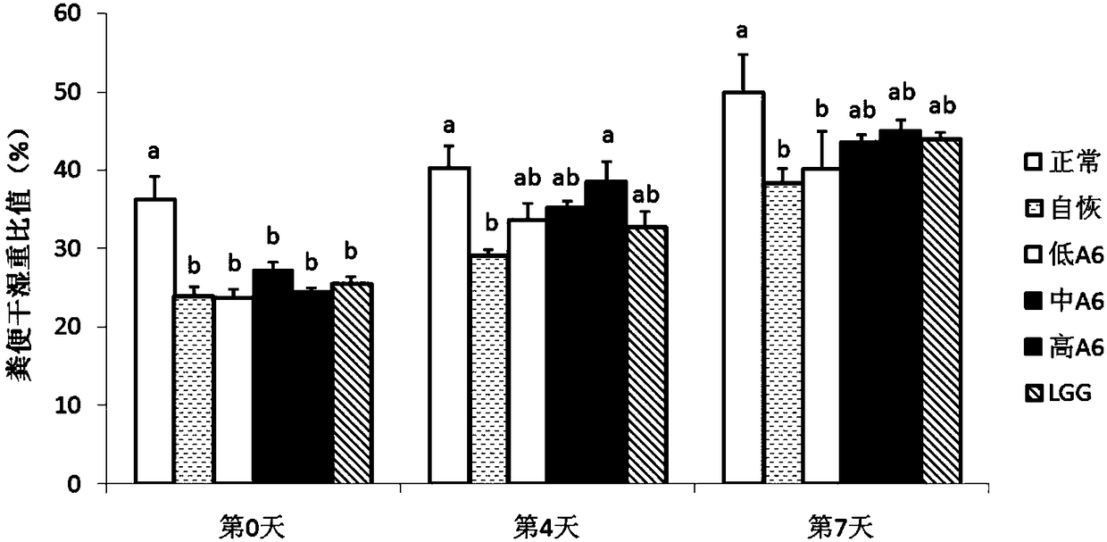 Use of Bifidobacterium animalis A6 in the preparation of medicaments