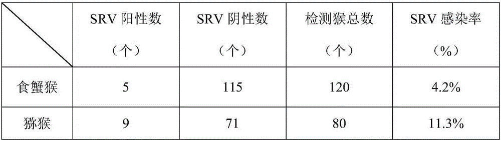 Real-time fluorescence quantitative PCR detection primers and probe for SRV (simian type D retrovirus), detection kit and detection method