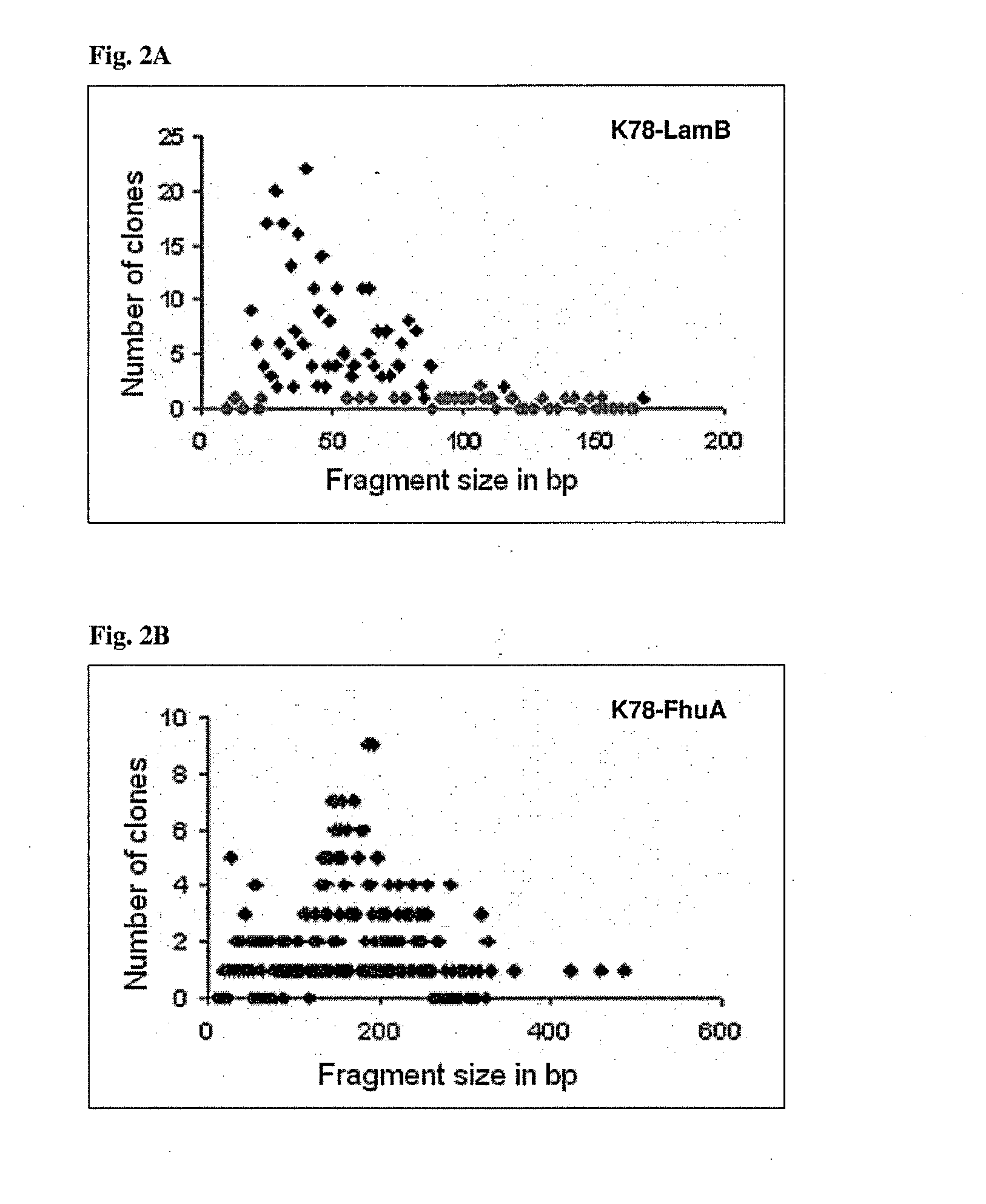 Borrelia antigens