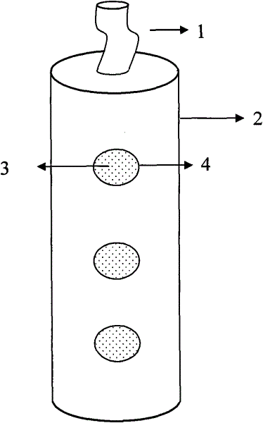 Method for rapidly increasing survival rate of artificially-restored poplar in arid desert area