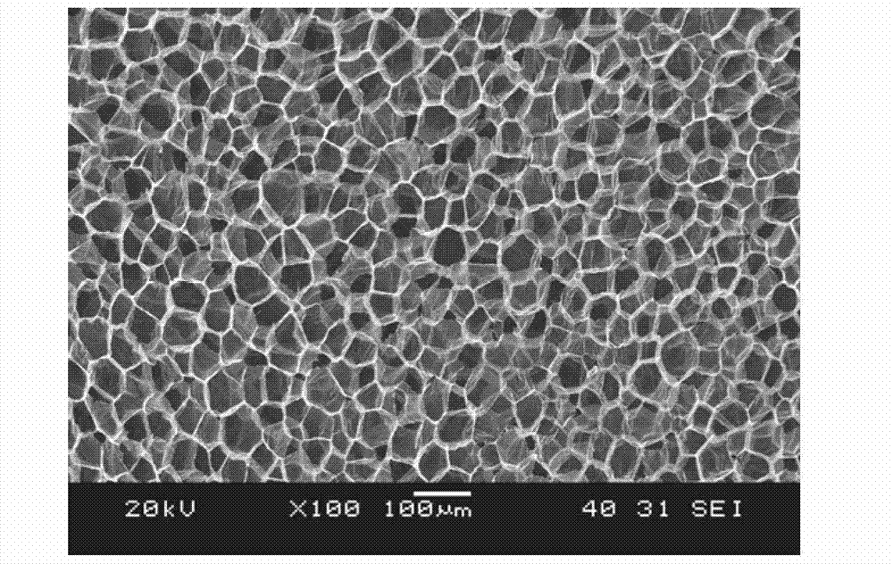 Method for preparing crystalline polyether-ether-ketone foam material