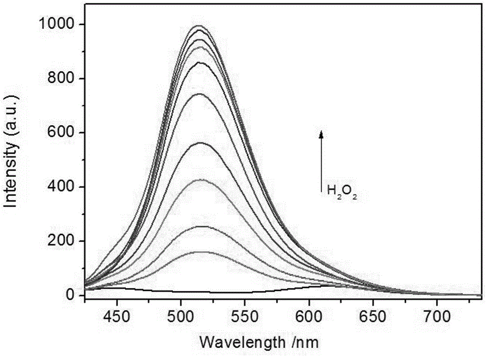 Mitochondria target hydrogen peroxide molecular fluorescent probe and preparation method and application thereof