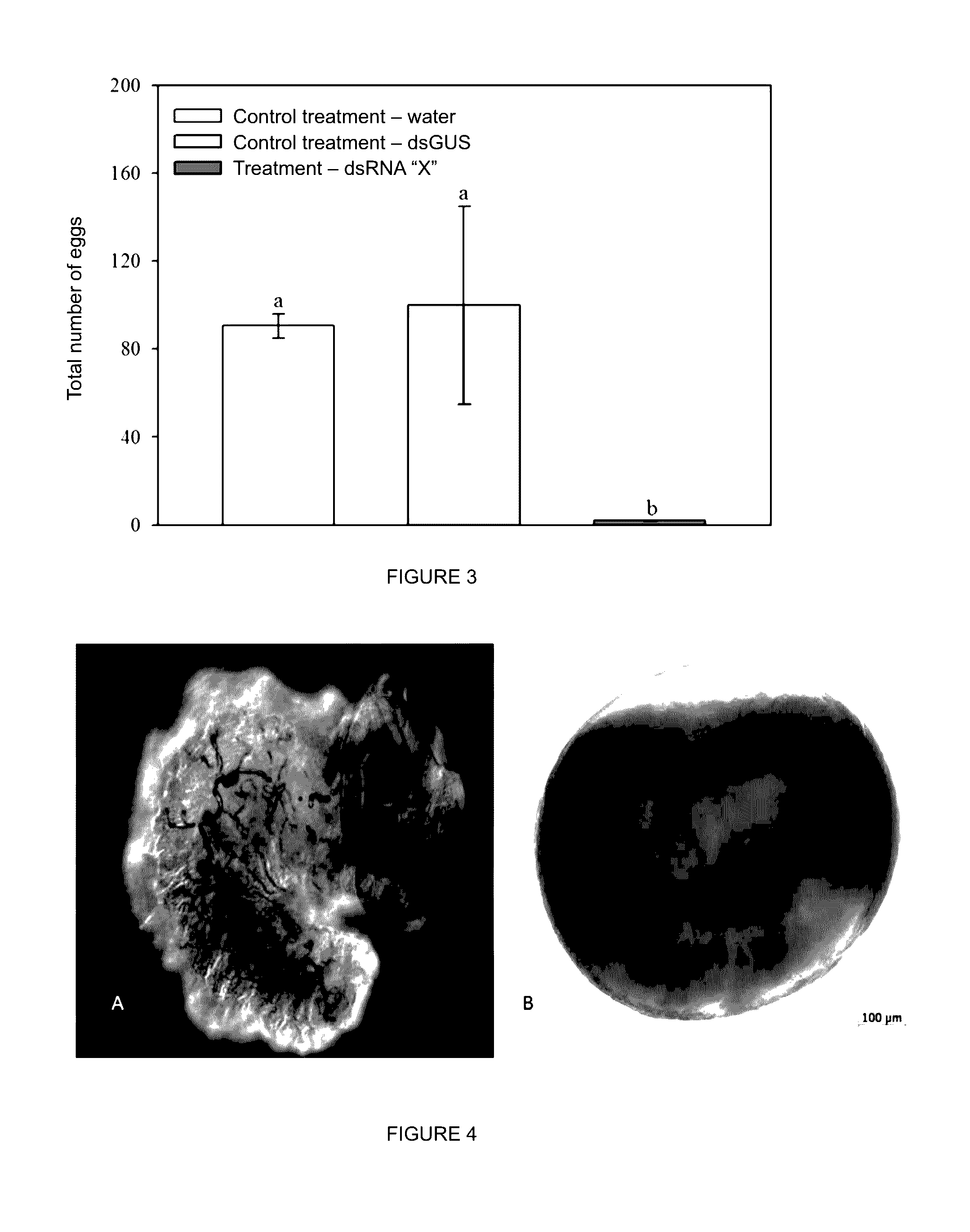 Method and compositions for controlling insect pests on plants by silencing genes of the chitin synthase and vitellogenin family, and alternatively by expression of a cry toxin gene