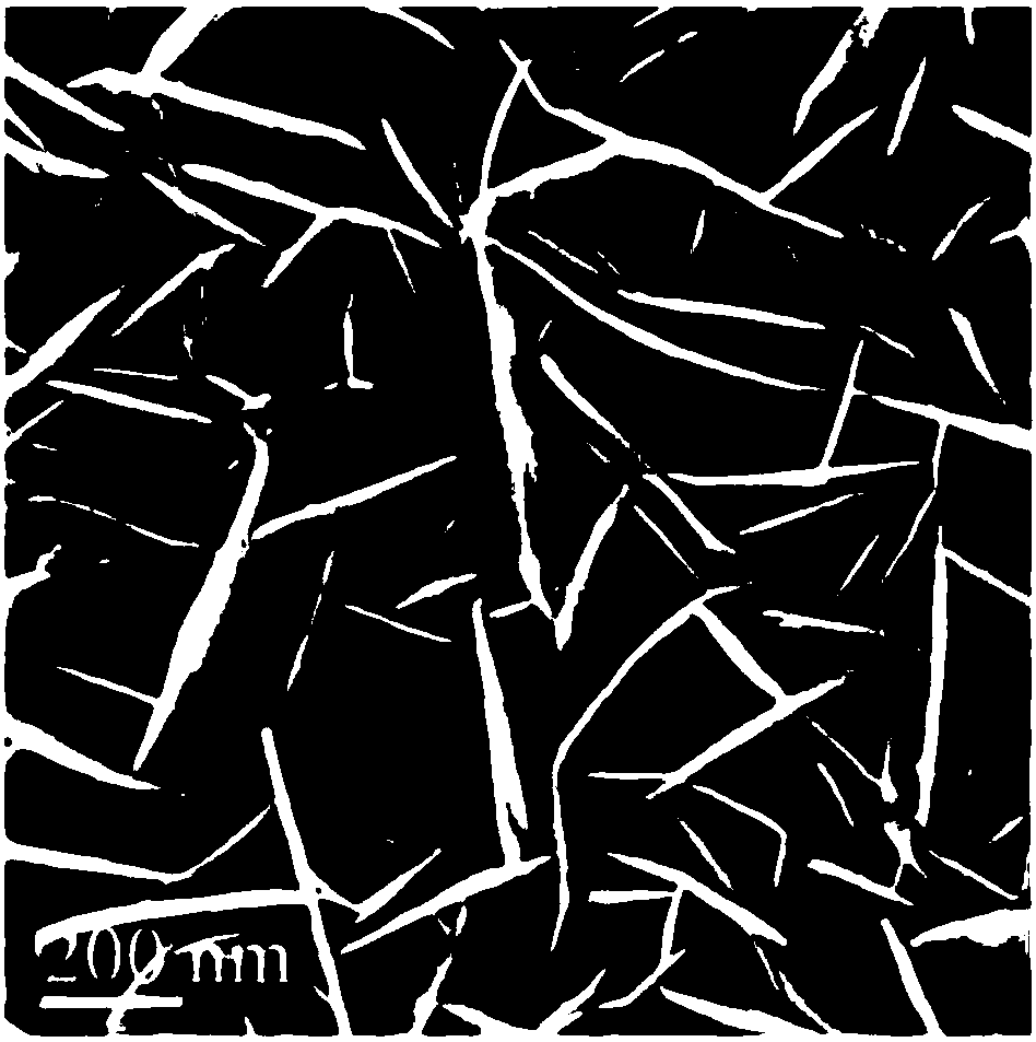 Fe-doped two-phase nickel sulfide nano array material, as well as preparation method and application thereof