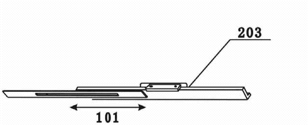 Fixing device and detection system