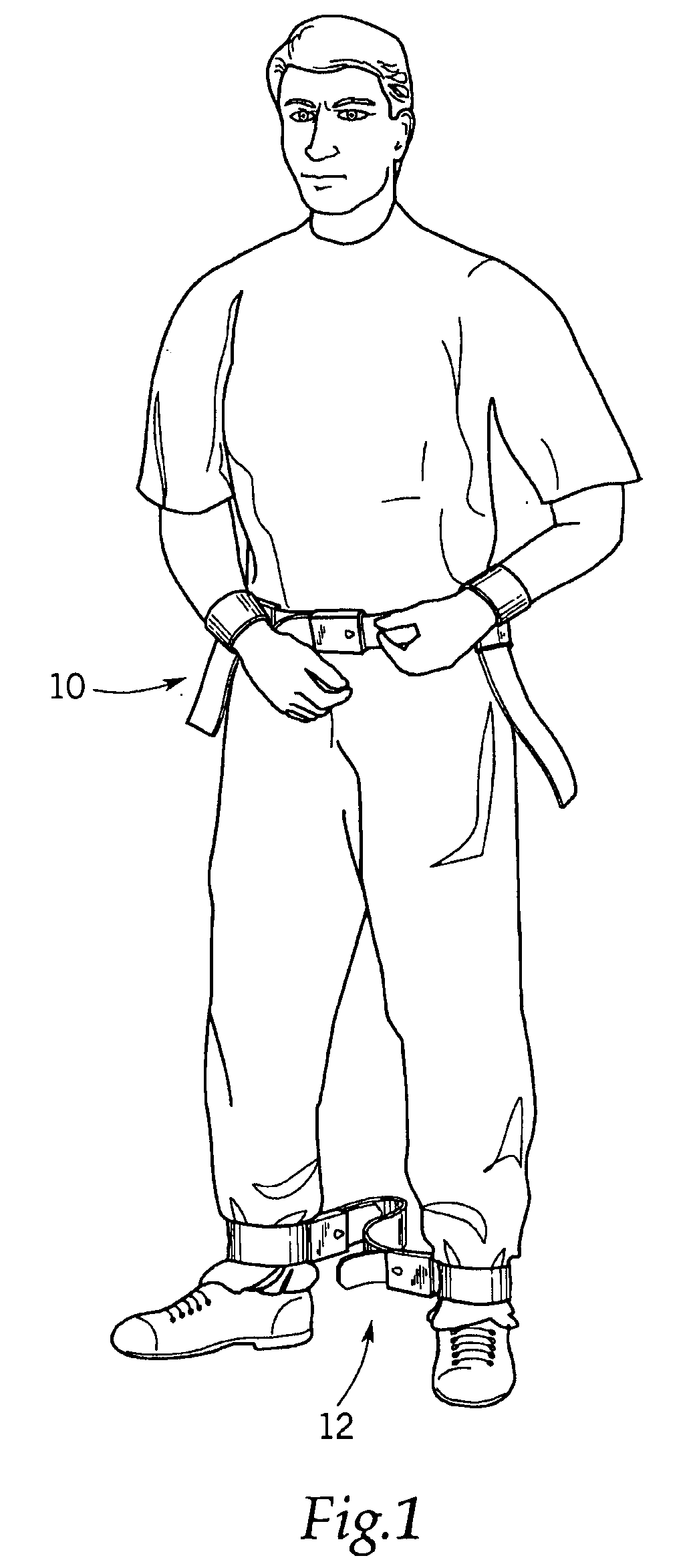 Restraint system and lockable fastener