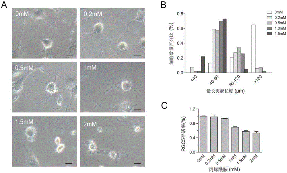 A lentivirus carrying neuritin gene and its application in repairing optic nerve damage