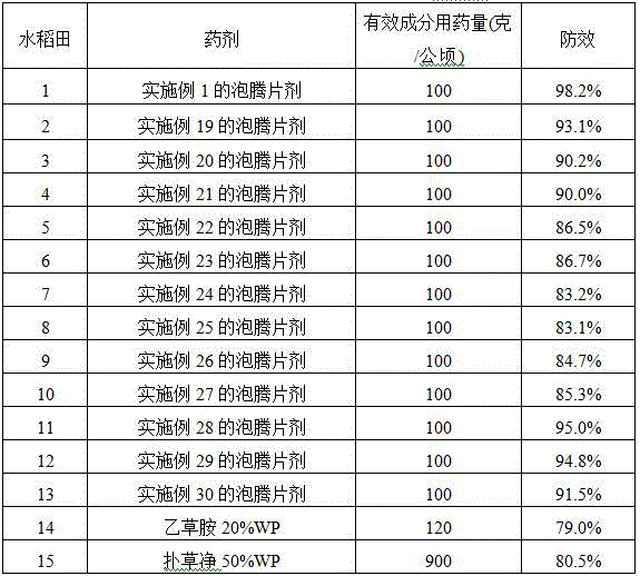 Acetochlor and prometryn containing weeding composition and preparation method and application thereof