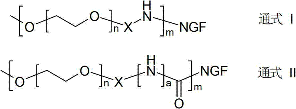 Method for preparing polyethylene glycol (PEG) and nerve growth factor (NGF) conjugate