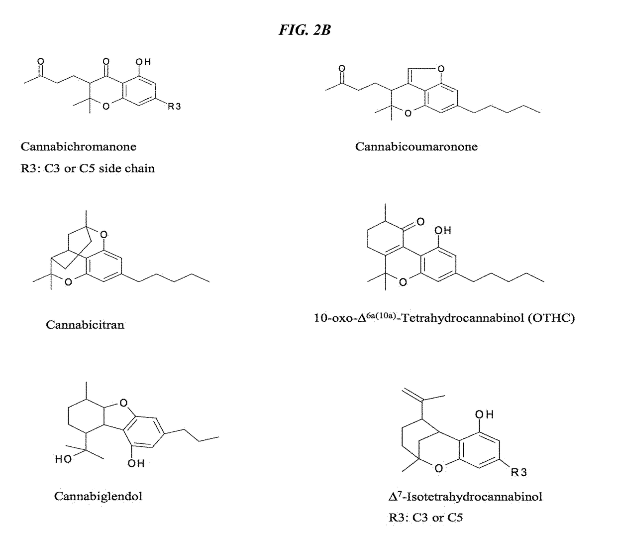 Recombinant production systems for prenylated polyketides of the cannabinoid family