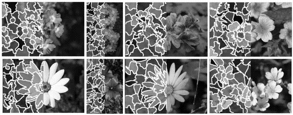 Image set unsupervised co-segmentation method based on deformable graph structure representation