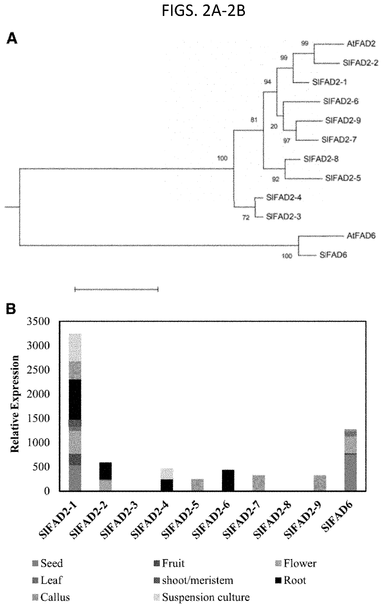 The fatty acid desaturase 2 family in tomato