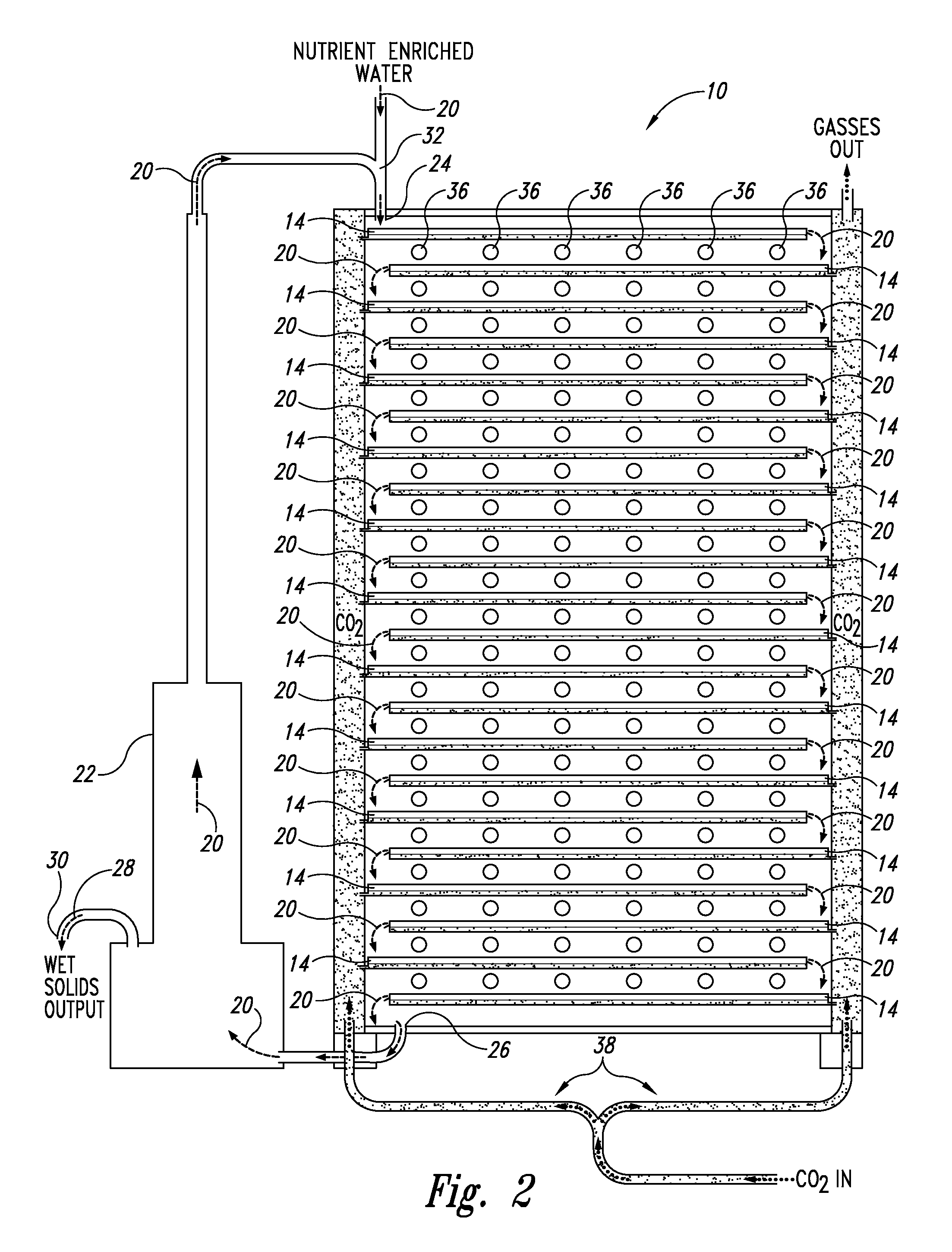 Algae high density bioreactor