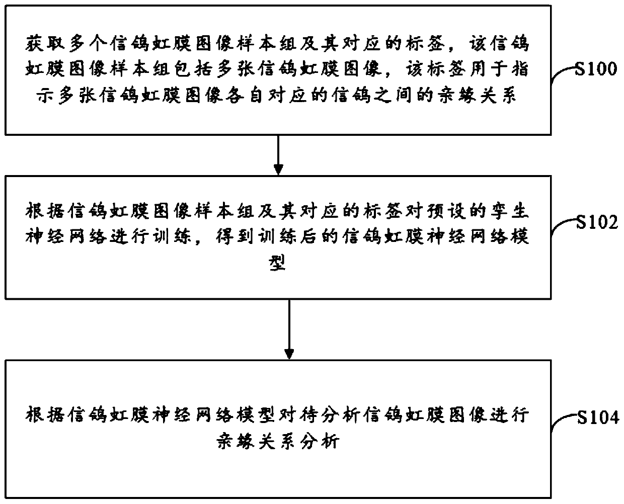 Carrier pigeon genetic relationship analysis method and device and storage medium