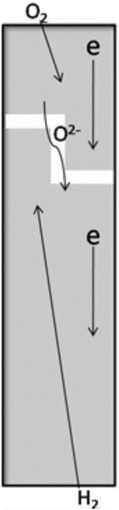 Rectangular electrode/electrolyte interface based SOFC (solid oxide fuel cell) simulation method