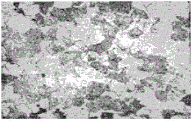 Large-scale satellite frame paint-spraying and overturning device