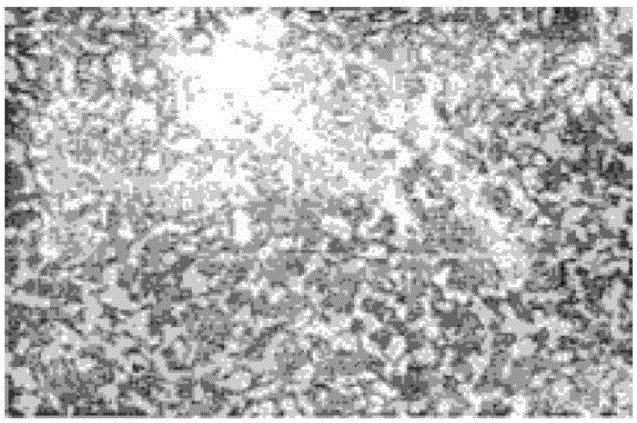 Large-scale satellite frame paint-spraying and overturning device