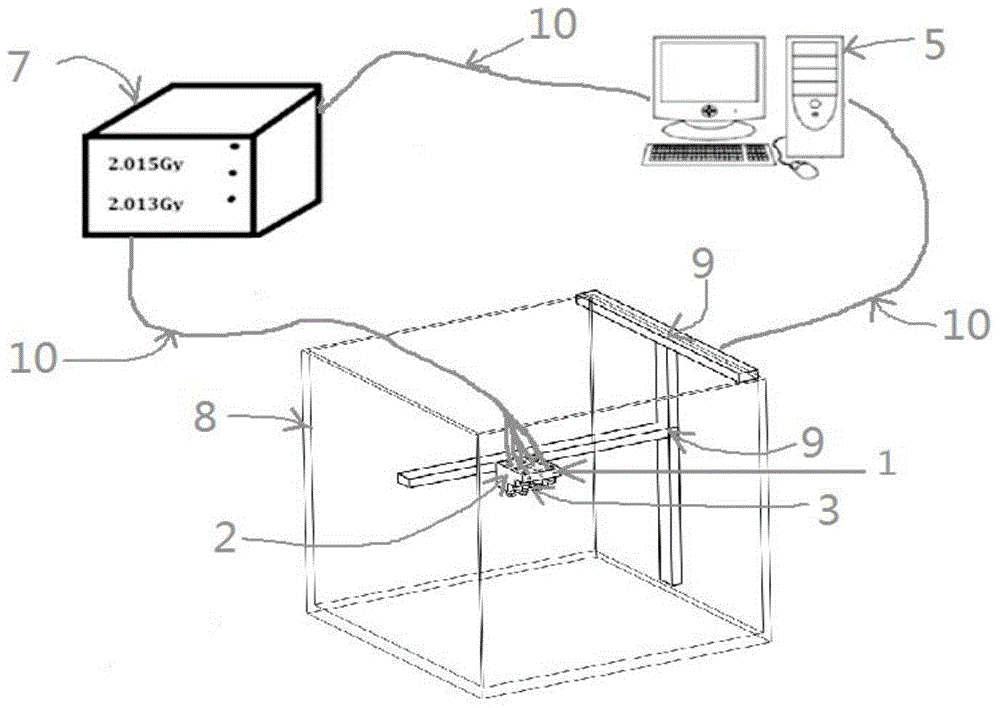 Three-dimensional dosage verification apparatus and method thereof