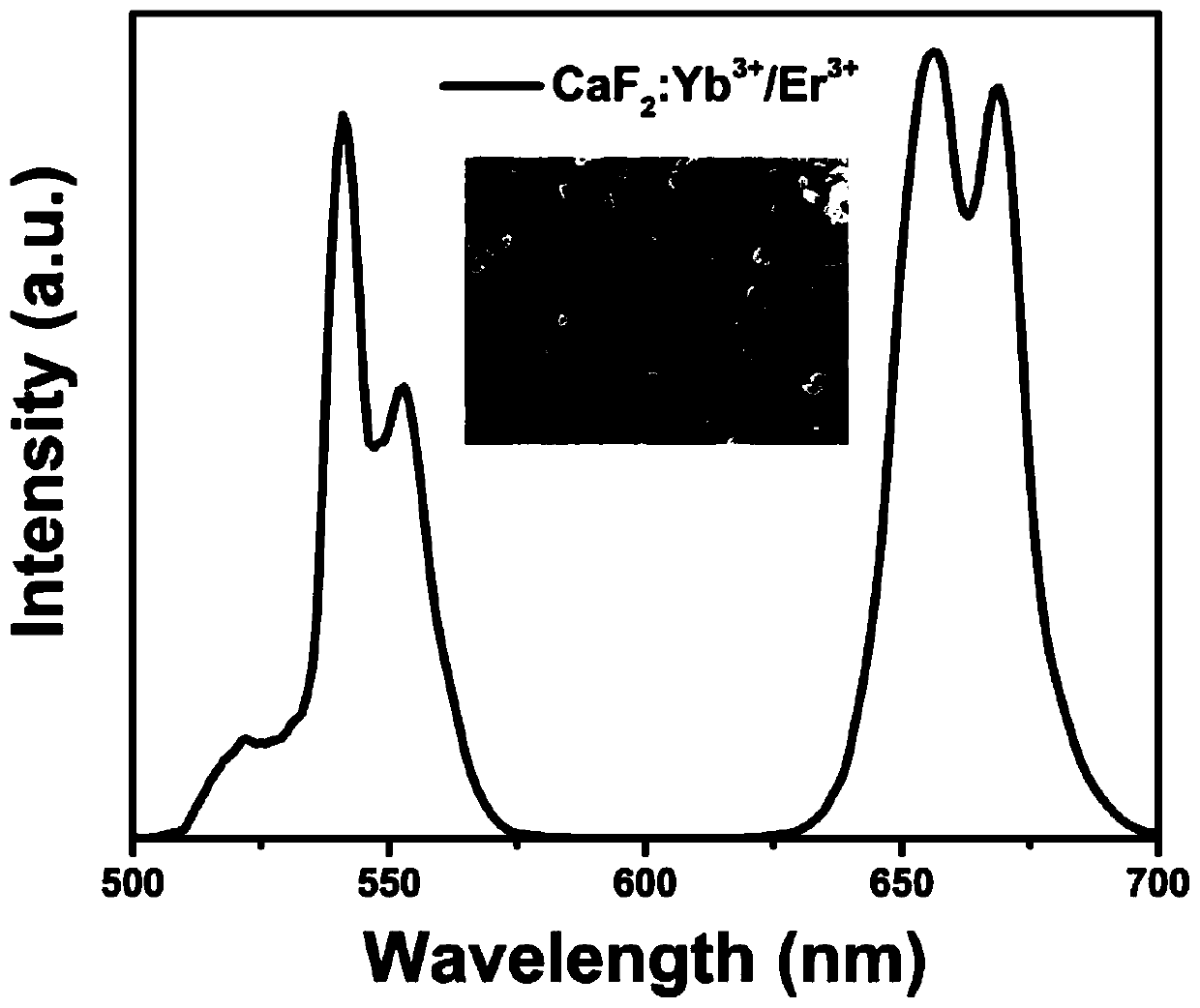 Up-conversion nanoparticle and preparation method thereof, and application of up-conversion nanoparticle in non-contact temperature measurement