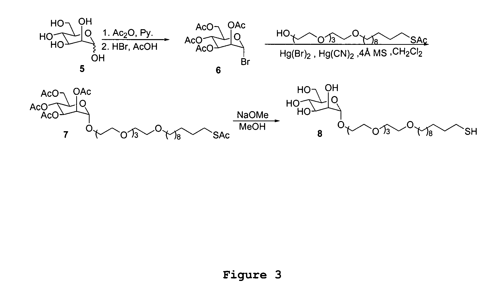 Method of microorganism detection using carbohydrate and lectin recognition