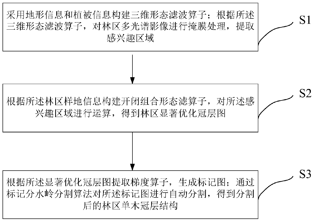 Watershed canopy automatic segmentation method combined with forest region three-dimensional morphological filtering