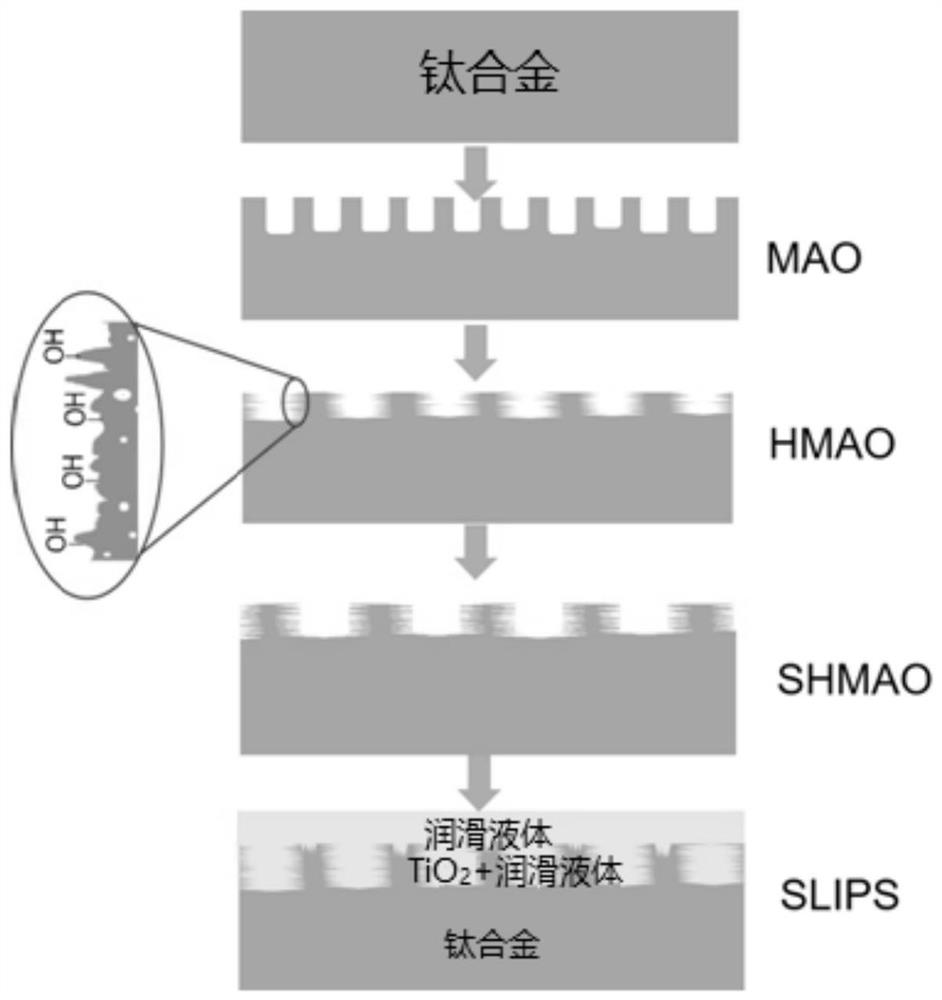 Titanium alloy surface anti-fouling composite coating as well as preparation method and application thereof