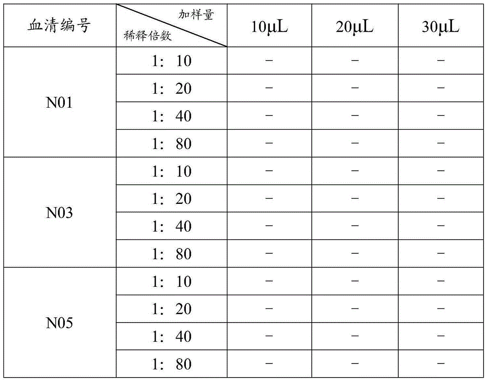 Immunofluorescence reagent applied to detection of adenovirus IgM antibody and application of immunofluorescence reagent