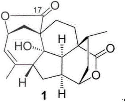 Wood preservative containing compound MannolideA