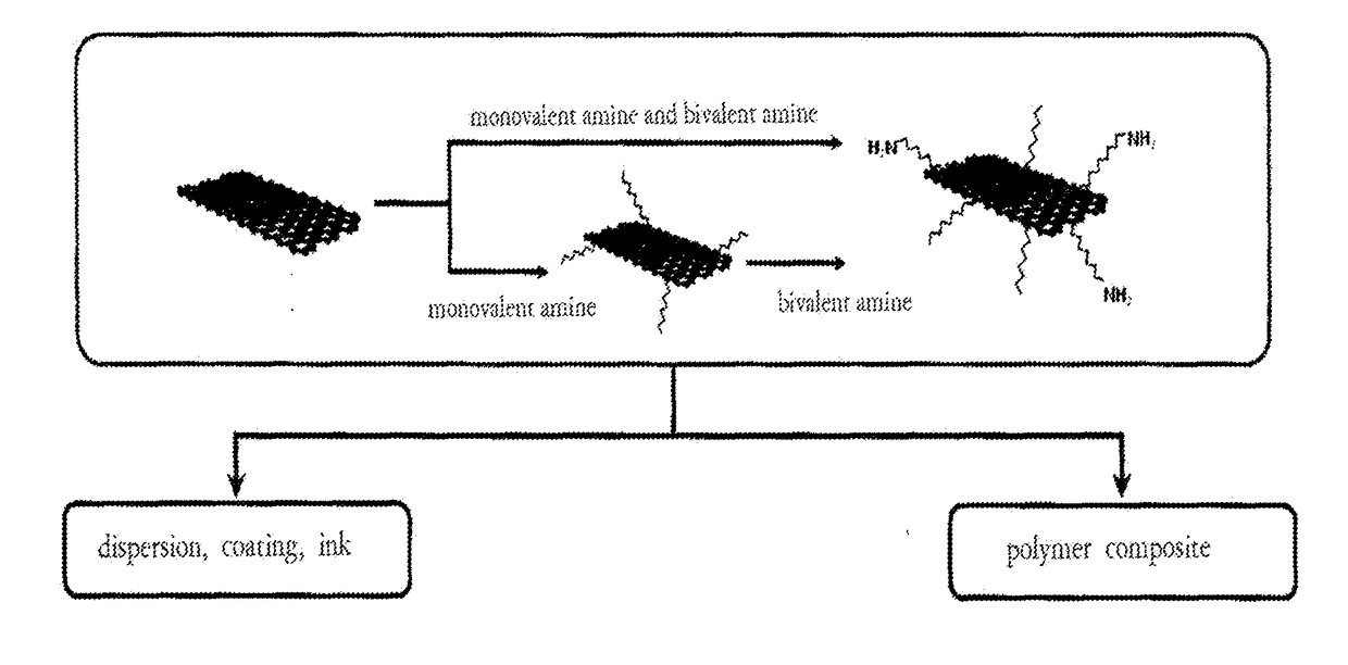 Functionalized graphene comprising two or more types of amines, and preparation method therefor