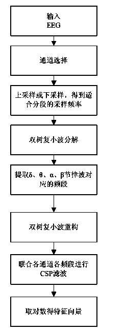 Dual-tree complex wavelet and common spatial pattern combined electroencephalogram characteristic extraction method