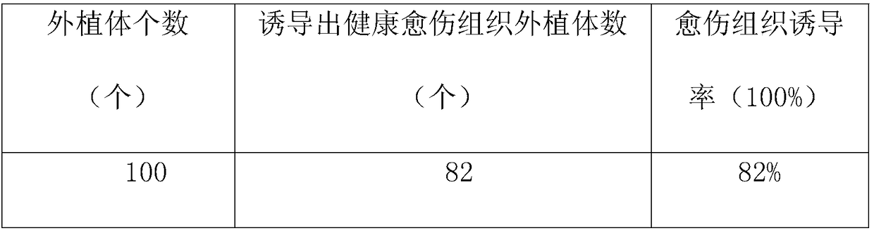 High-frequency regeneration system method for iris ensata thumb on the basis of callus