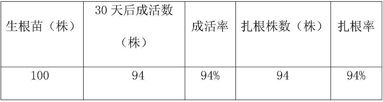 High-frequency regeneration system method for iris ensata thumb on the basis of callus