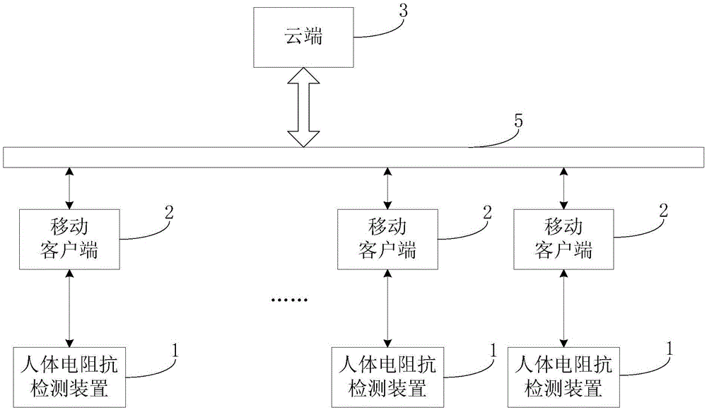 Human body electrical impedance health risk assessment system and human body electrical impedance health risk assessment method