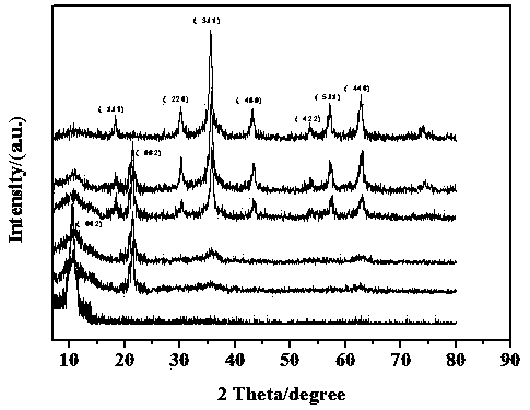 Preparation method and application of polyvinylamine functional magnetic carbon-based nano adsorbing agent