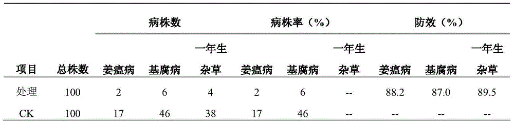 Soil fumigation and activation method