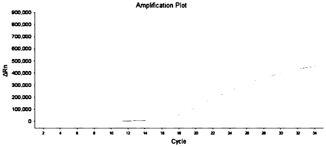 Composition and kit for detecting polymorphism of human MDR1 gene, sample treatment method and application thereof