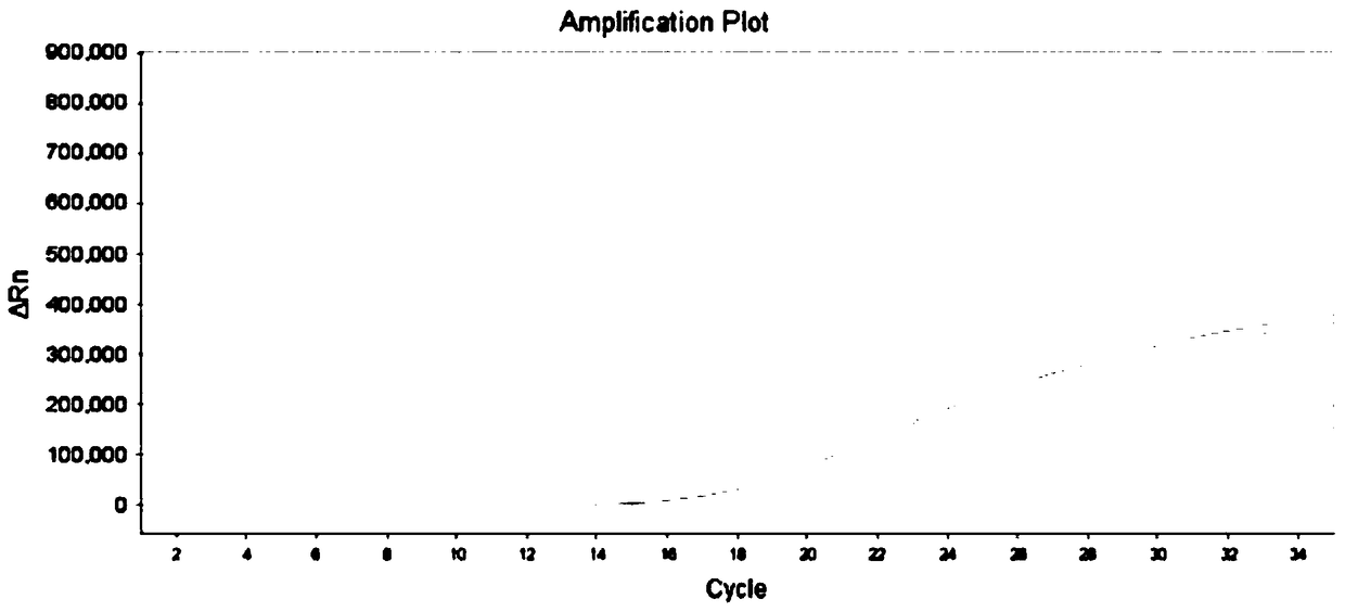 Composition and kit for detecting polymorphism of human MDR1 gene, sample treatment method and application thereof